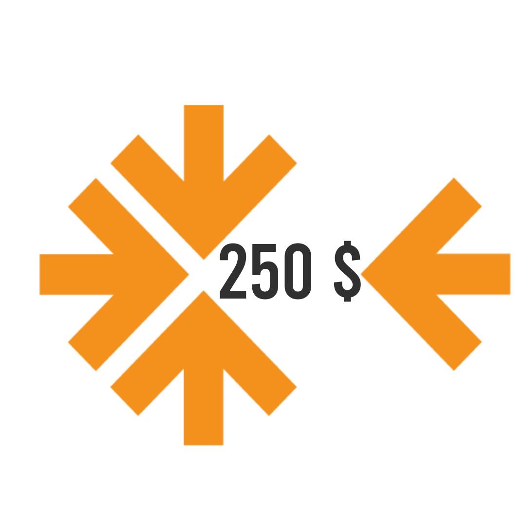 $250 Badge
